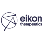 Eikon-logo-morado